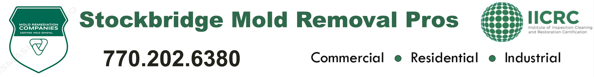 Stockbridge Mold Removal Pros