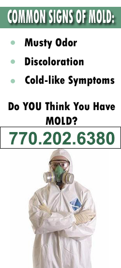 Stockbridge Mold Remediation Contractor